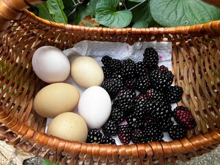 Berries and Eggs
