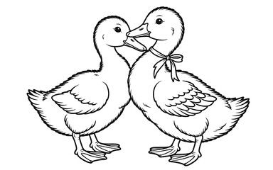 Obraz premium Two ducks isolated on white background