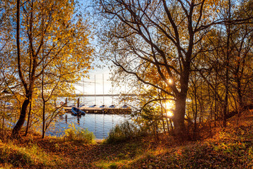Golden autumn trees on shore of Stroginsky backwater with carpet of leaves, calm water, and moored small sailboats. Evening sunlight sparkles in water. Moscow, Russia.

