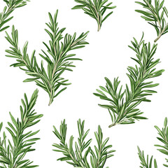 Fototapeta premium 2D illustration of a tileable pattern of rosemary sprigs isolated on a white transparent background