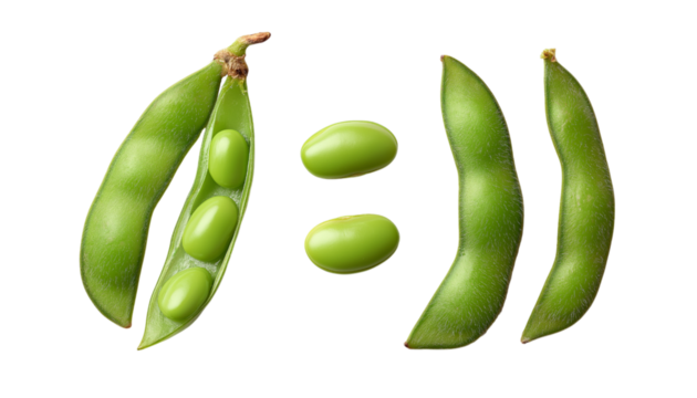 Edamame Pods and Beans soybeans isolated on a transparent background