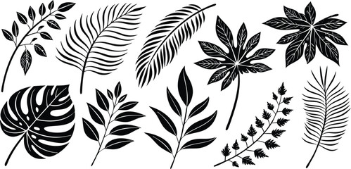 Leaf silhouettes vector set featuring tropical, floral, and botanical elements. nature design collection includes various leaf shapes perfect for eco, organic, and decorative art or digital project 