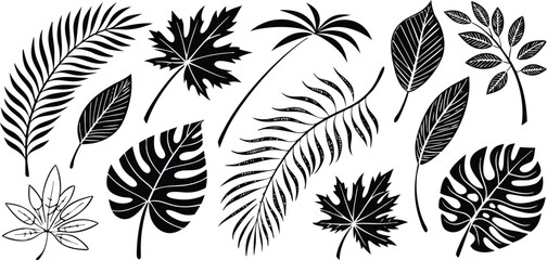 Leaf silhouettes vector set featuring tropical, floral, and botanical elements. nature design collection includes various leaf shapes perfect for eco, organic, and decorative art or digital project 