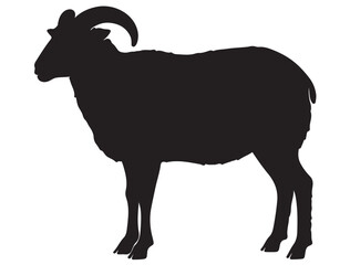 RAM SILHOUETTE