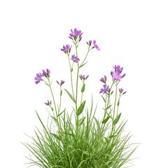 Naklejka premium Floral blossom petals plant stem foliage botanical growth flora bloom