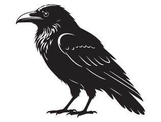 RAVEN SILHOUETTE