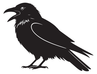RAVEN SILHOUETTE