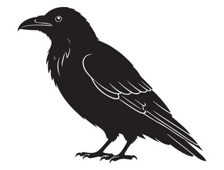 RAVEN SILHOUETTE