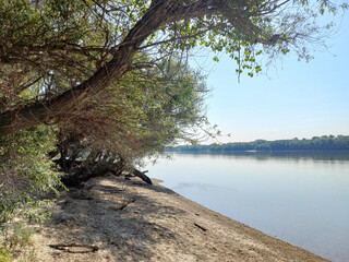 Riverside area shaded by large, overhanging branches