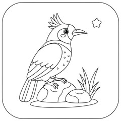 Beautiful line art illustration of a bird with a crest perched on rocks with grass and a small star above, perfect for coloring books, wildlife-themed artwork, and creative nature design projects