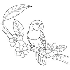 Elegant line art illustration of a parrot perched on a branch adorned with tropical flowers and leaves, perfect for coloring books, nature art, and creative design projects