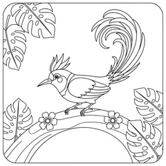 Cartoon-style exotic bird with a decorative crest and long curved tail perched on a branch with tropical leaves and flowers. Black and white line art illustration for kids’ coloring pages