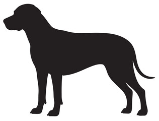 RHODESIAN RIDGEBACK DOG SILHOUETTE