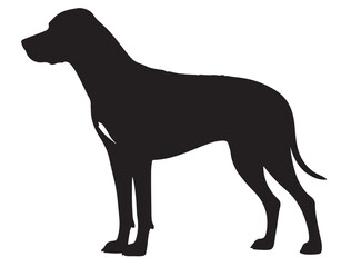 RHODESIAN RIDGEBACK DOG SILHOUETTE