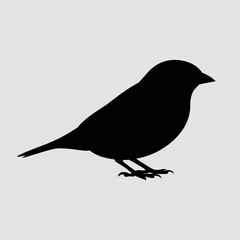Obraz premium Silhouette of a Bird on White Background