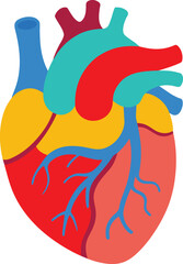 Human Heart Anatomy Illustration. Perfect for Medical, Health, and Science Projects.