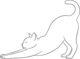 Minimalist monoline icon mega pack featuring 60+ cohesive black outline illustrations across travel, food & drink, sports, nature, music, home, and security. Includes motifs like airplane window, camp