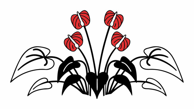 Illustration of four red anthurium flowers with black leaves and stems