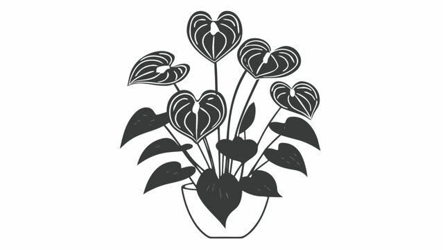 black anthurium plant in pot on white clip art preview
