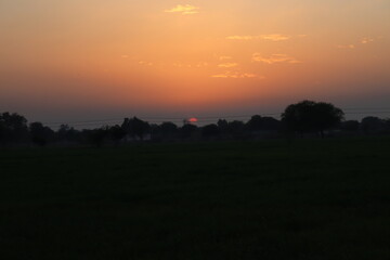 Golden sunrise over a silhouetted landscape with trees and fields, casting a warm glow