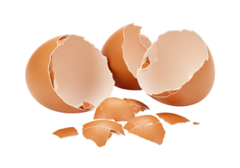 Broken eggshells close up food preparation cooking ingredient still life