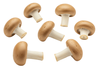 Brown cap mushroom still life on transparent background cooking ingredient