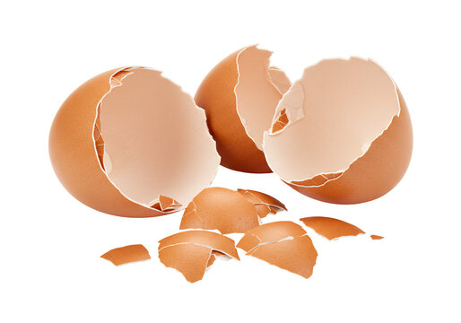 Broken eggshells close up food preparation cooking ingredient still life