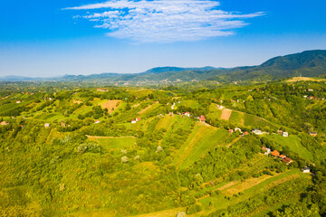 Obraz premium Picturesque landscape in Plesivica in Croatia, popular Croatian wine region and tourist destination