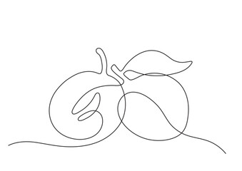 Two plum with a leaf and pit, simplified in a single line, vector illustration