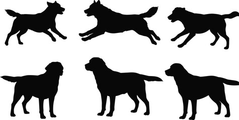 Silhouettes of Dogs in Different Poses, Standing and Running, Pet Animal Silhouettes, Dog Breeds Vector, Canine Outline Collection