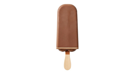 Isolated Chocolate Popsicle
