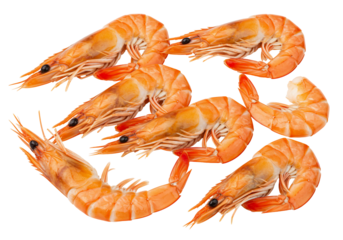 Delicious cooked shrimp on transparent background appetizing seafood delicacy