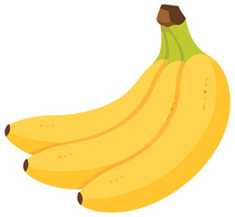  Banana vector illustration in flat design style featuring a ripe yellow bunch of three tropical fruits with green stem brown tips and grocery market graphics