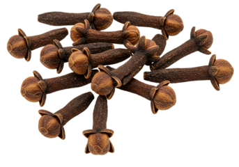 Dried cloves spices close up still life on transparent background
