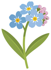 Forget me not flower illustration with blue petals and green leaves in clean flat vector style for seasonal floral botanical decorative design themes