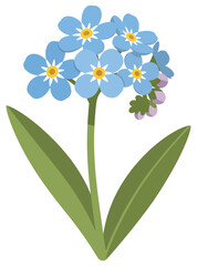 Forget me not flower illustration featuring multiple blue blossoms with yellow centers, green stems, and leaves in a flat clean vector style perfect for botanical decorative design and seasonal themes