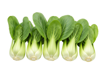 Fresh bok choy vegetable isolated on transparent background overhead view