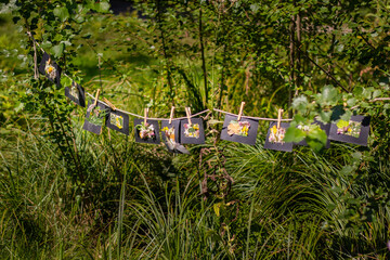 Fototapete bei efototapeten.de bestellen   