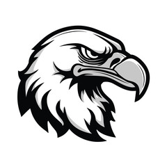 Illustration of a Fierce Eagle Head with Sharp Eyes and Detailed Feathers