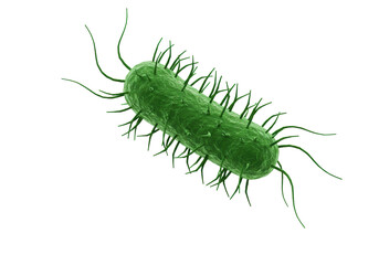 Isolated Microscopic Green Bacteria Cell