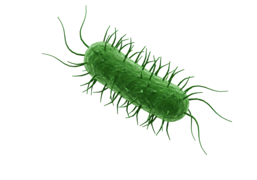 Isolated Microscopic Green Bacteria Cell