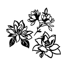 Fototapeta premium Flowers, branch with flowers, Vector