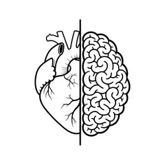 Fototapeta premium Split image showing human heart on one side and human brain on the other, isolated on white background