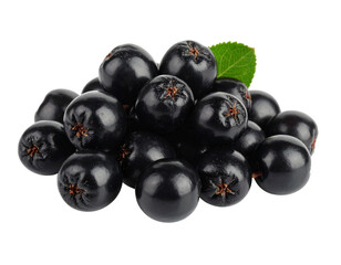 Black chokeberries isolated on transparent background