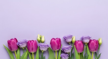 Obraz premium A beautiful arrangement of vibrant purple tulips and delicate lavender flowers on a soft lilac background