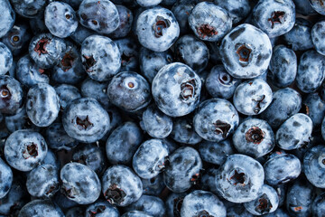 Blueberry. Fresh blueberries texture background.