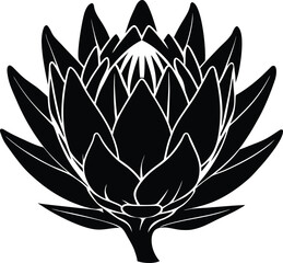 Protea Blossom Silhouette | Unique Protea Flower Silhouette
