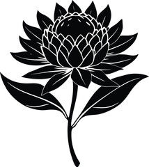 Waratah Flower Silhouette | Bold Waratah Bloom Silhouette