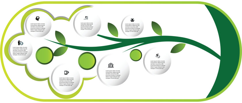 Eco-themed infographic timeline with green leaves and circular icons, perfect for illustrating environmental projects, sustainable growth, and nature-inspired business plans.