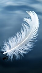A Delicate Feather Gently Rests on the Tranquil Water s Surface, Exhibiting Serenity and Purity